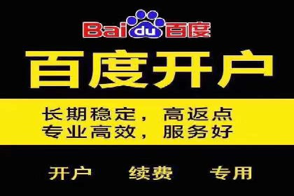 SEM代运营服务公司成功案例解析